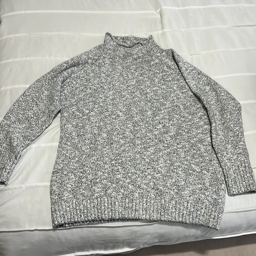 LL Bean turtle neck sweater
